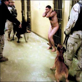 U.S. MPs set attack dogs on Iraqi prisoner