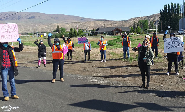 Strikers
                at Allan Bros. packinghouse in Naches, Washington, on
                May 8. (Internationalist photo)