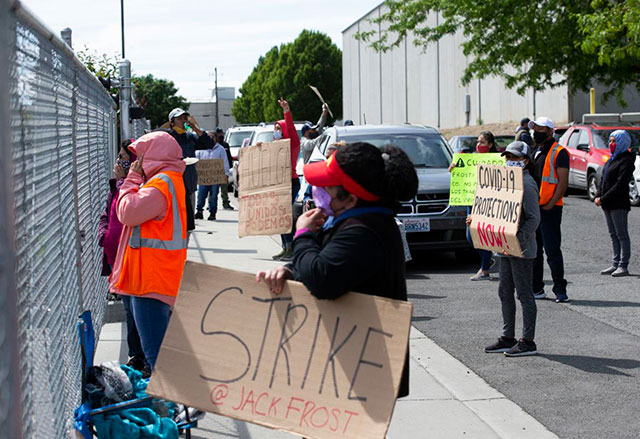 Trabajadores en huelga frente a la empacadora
                Frosty en Yakima, Washington, el 14 de mayo de 2020.
                (Foto: Yakima Herald-Record)