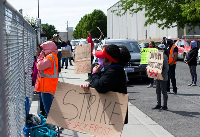 Trabajadores en huelga frente a la empacadora
                Frosty en Yakima, Washington, el 14 de mayo de 2020.
                (Foto: Yakima Herald-Record)