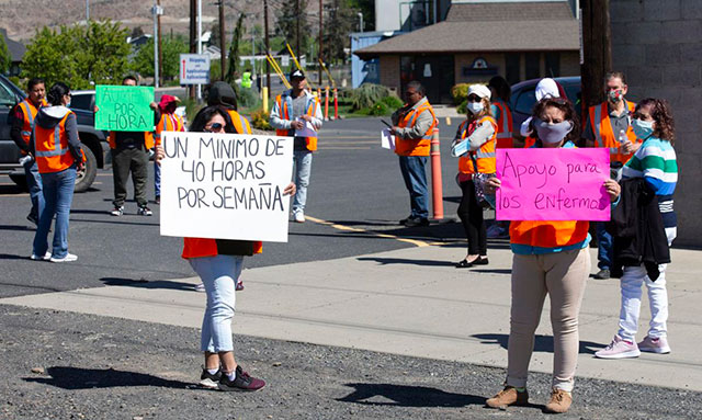 Trabajadoras de la empacadora Allan Bros. en huelga
                en el valle de Yakima, el 8 de mayo de 2020. (Foto:
                Yakima Herald-Republic)