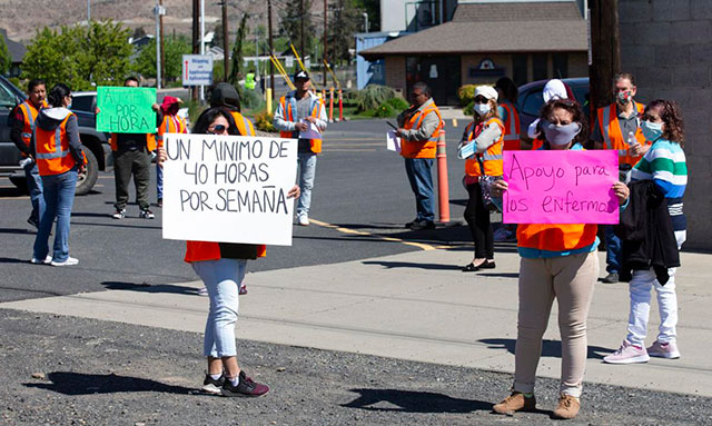 Trabajadoras de la empacadora Allan Bros. en huelga
                en el valle de Yakima, el 8 de mayo de 2020. (Foto:
                Yakima Herald-Republic)