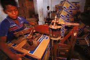 Foto: trabajo infantil en las bananeras